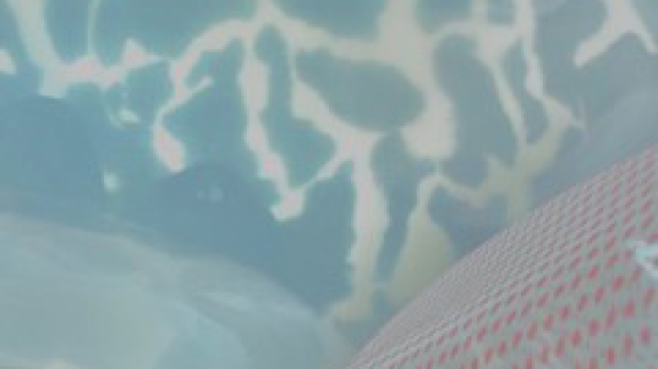 @Birgit
F. & Elena Riener Ausstellungsbild @Birgit F. & Elena Riener