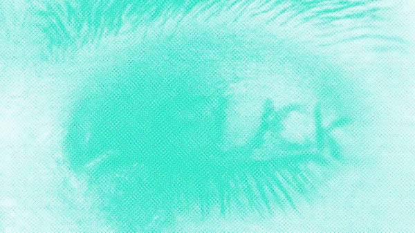 Ausstellungsplakat mit drei Buchstaben AIL und drei Augen