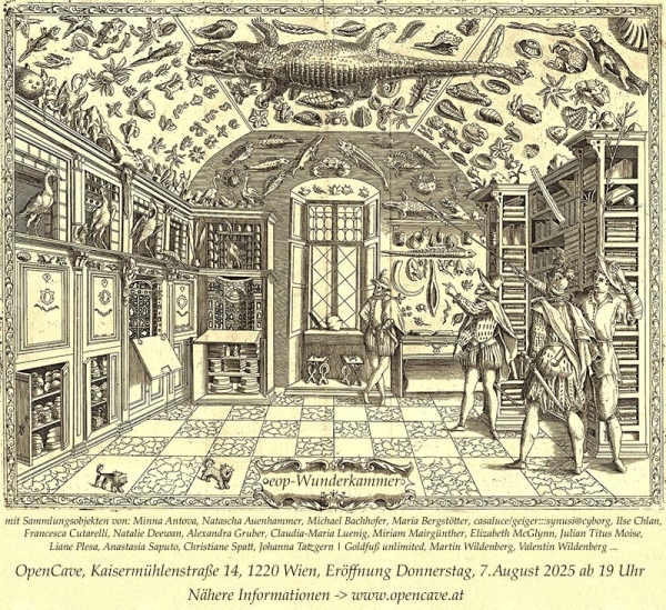 Engraving from Ferrante Imperato's Dell'Historia Naturale