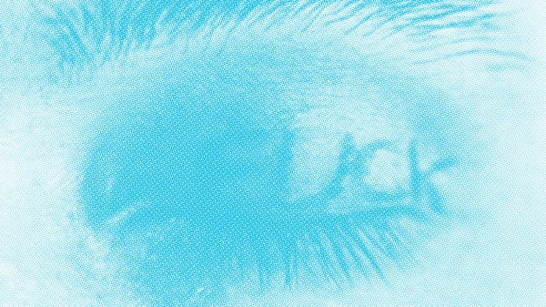 Veranstaltungsplakat, Schriftzug AIL und drei Augen