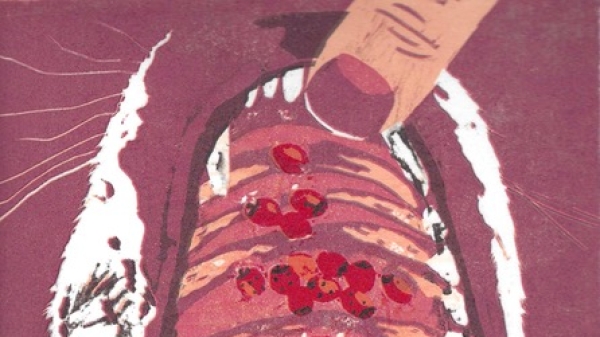 Janka Kočíšek: Infestation II
Zeichnung von Marienkäfern